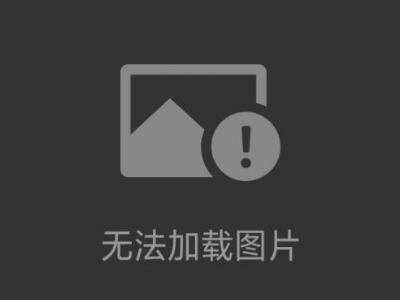 (gu)ʿ(l)HengstlerӋ(j)(sh)